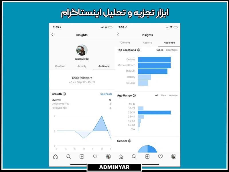 ابزار تجزیه و تحلیل اینستاگرام برای کمک به کسب درآمد دلاری از اینستاگرام