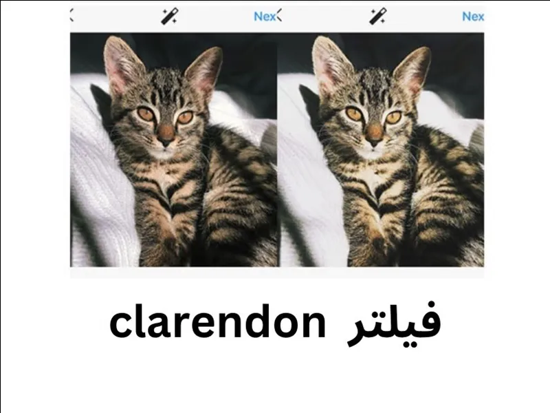فیلتر اینستا